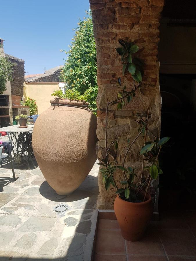 Vieja Botija