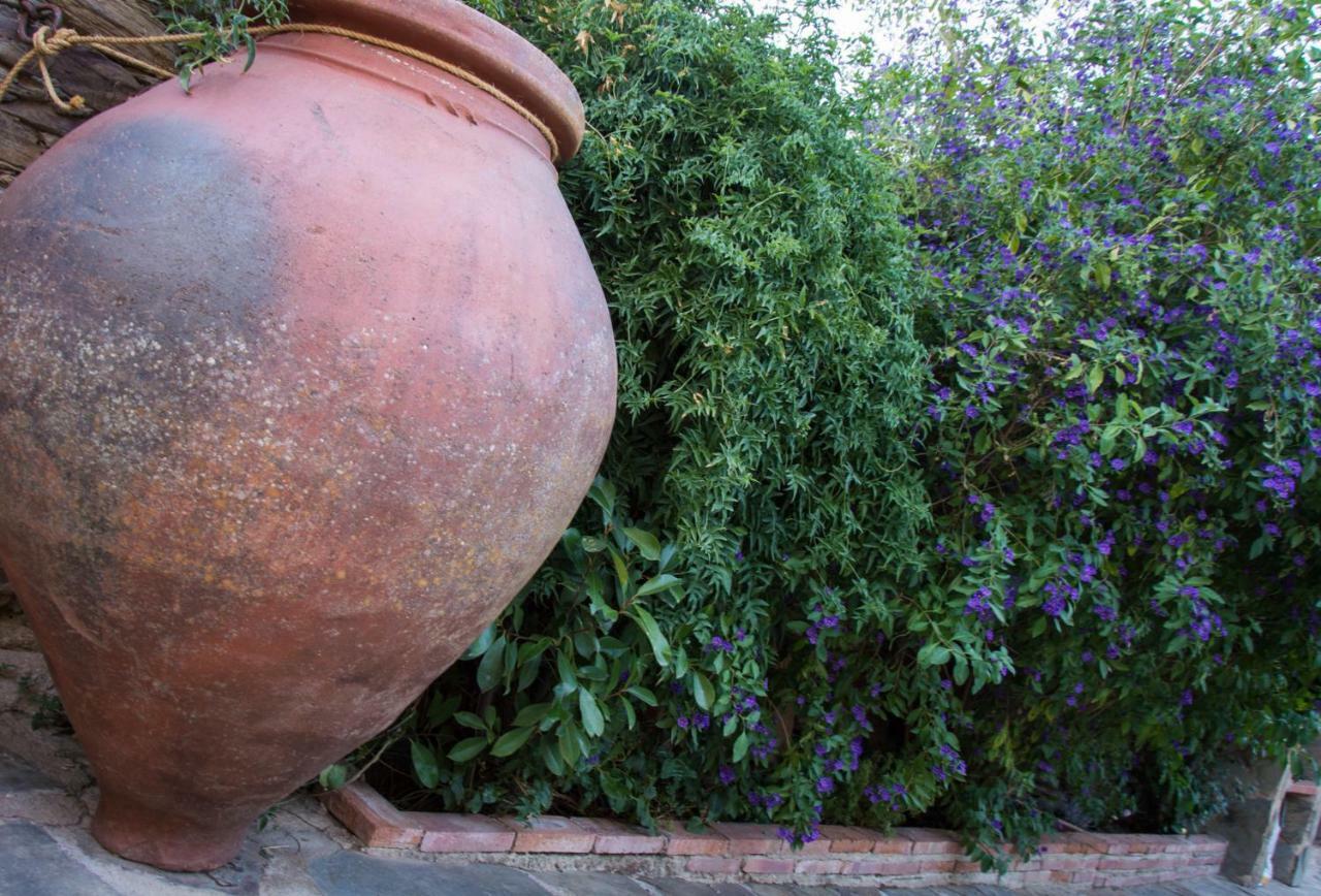Vieja Country house